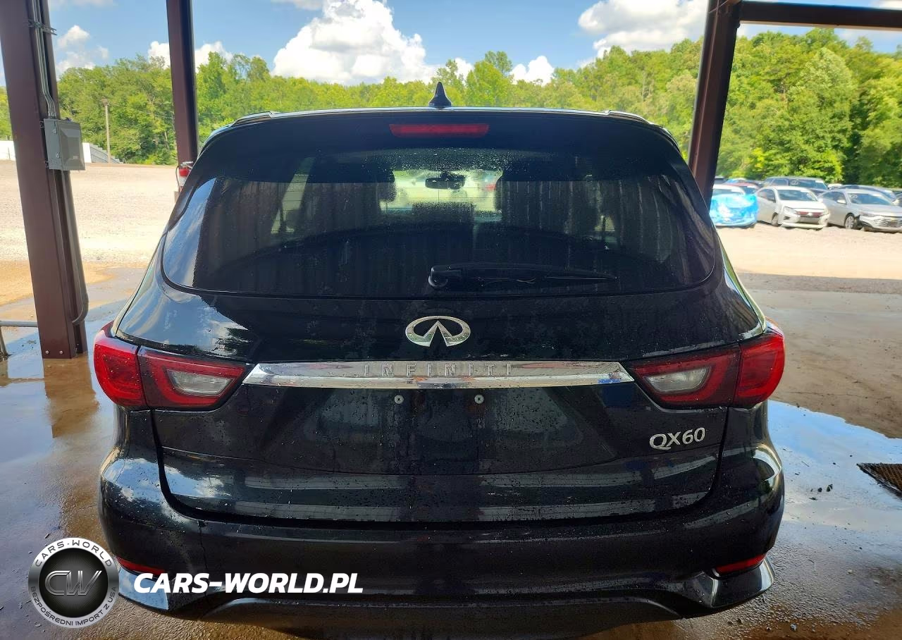2020 Infiniti Qx60 Pure VIN:5N1DL0MN2LC523615 - 6