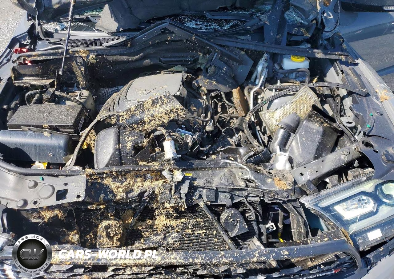 2022 Dodge Durango R-T VIN:1C4SDHCT3NC230882 - 12