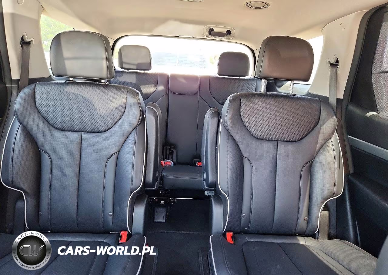 2024 Hyundai Palisade Xrt VIN:KM8R34GE5RU696945 - 10