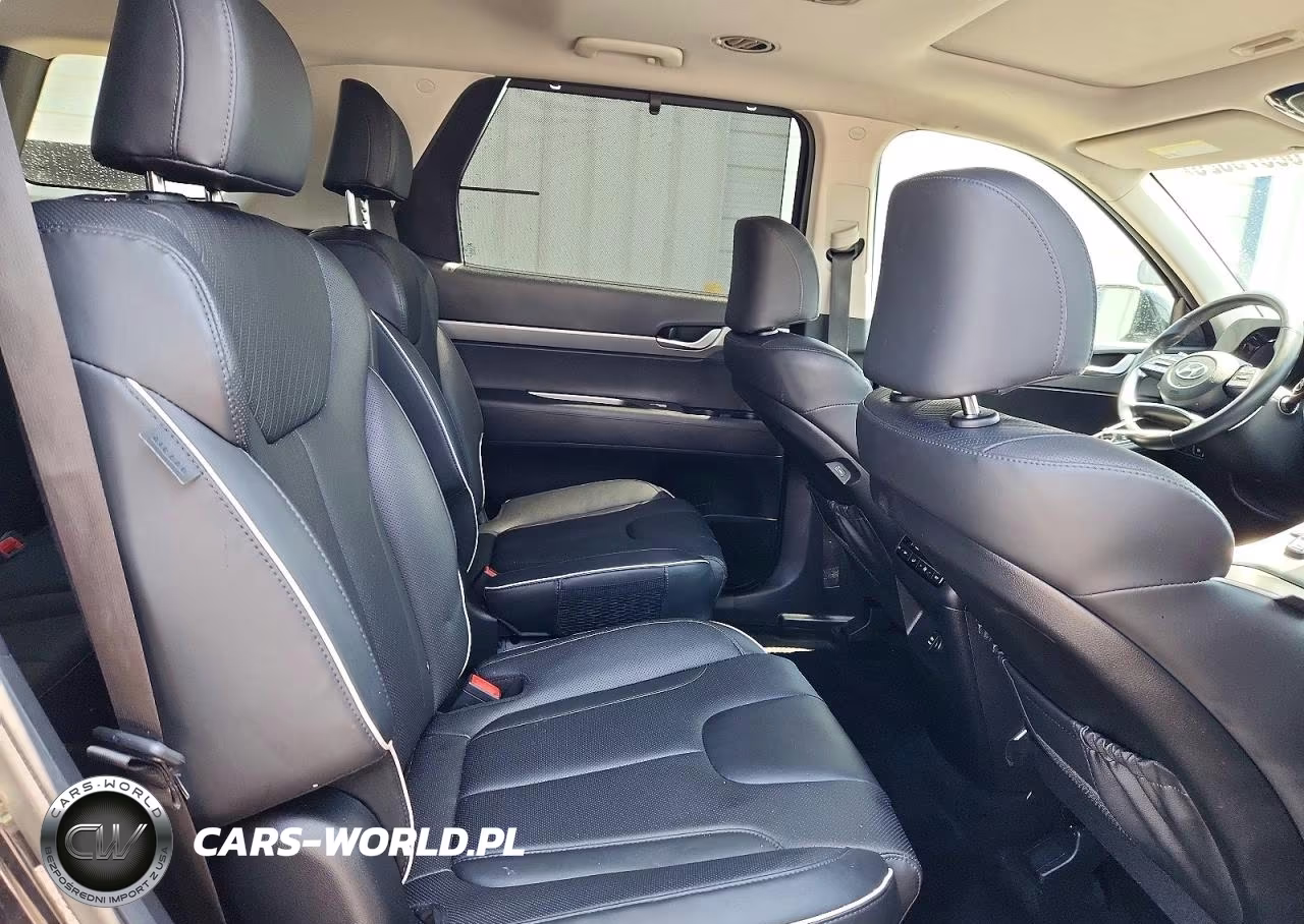 2024 Hyundai Palisade Xrt VIN:KM8R34GE5RU696945 - 11