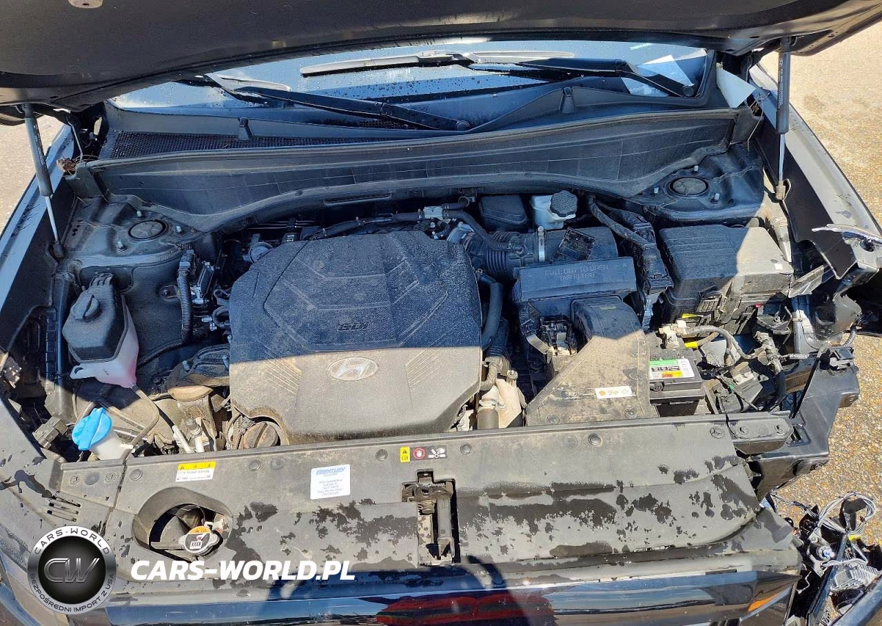 2024 Hyundai Palisade Xrt VIN:KM8R34GE5RU696945 - 12