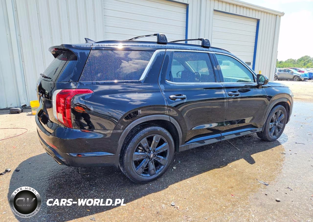 2024 Hyundai Palisade Xrt VIN:KM8R34GE5RU696945 - 3