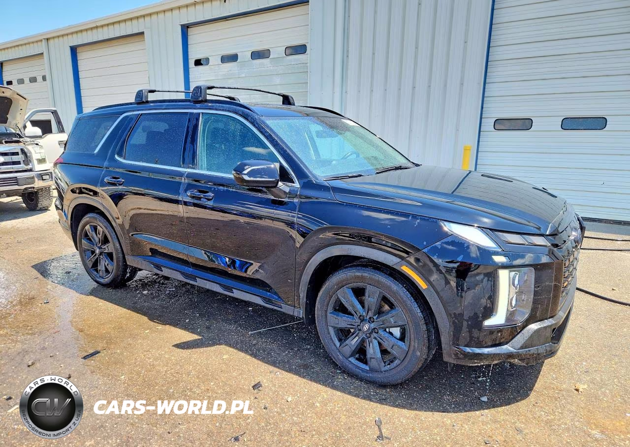 2024 Hyundai Palisade Xrt VIN:KM8R34GE5RU696945 - 4