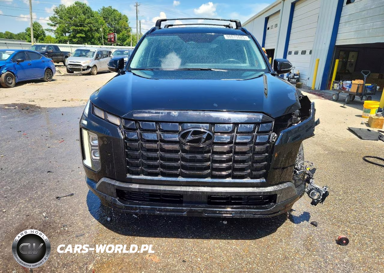 2024 Hyundai Palisade Xrt VIN:KM8R34GE5RU696945 - 5