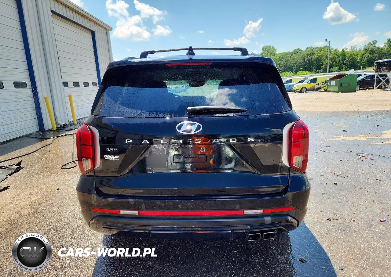 2024 Hyundai Palisade Xrt VIN:KM8R34GE5RU696945 - 6