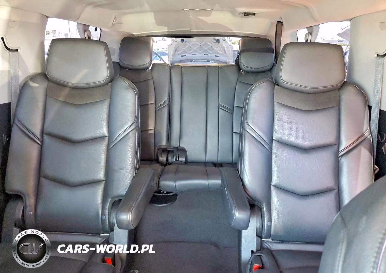 2020 Cadillac Escalade Esv Luxury VIN:1GYS3HKJ3LR236883 - 10