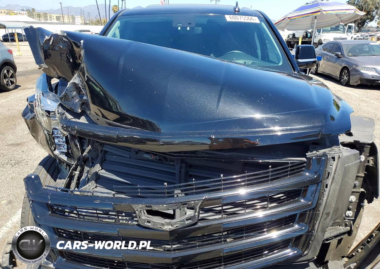 2020 Cadillac Escalade Esv Luxury VIN:1GYS3HKJ3LR236883 - 12