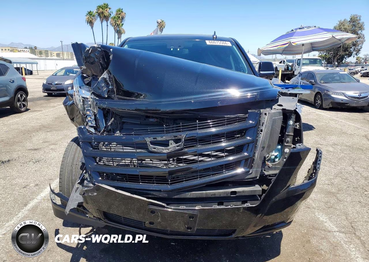 2020 Cadillac Escalade Esv Luxury VIN:1GYS3HKJ3LR236883 - 5