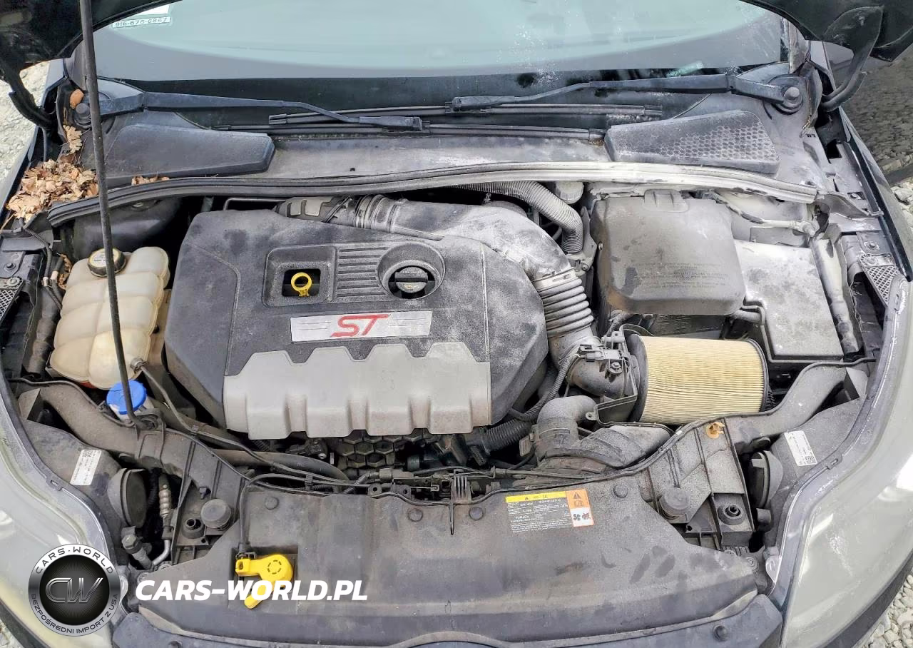 2013 Ford Focus St VIN:1FADP3L97DL191743 - 11