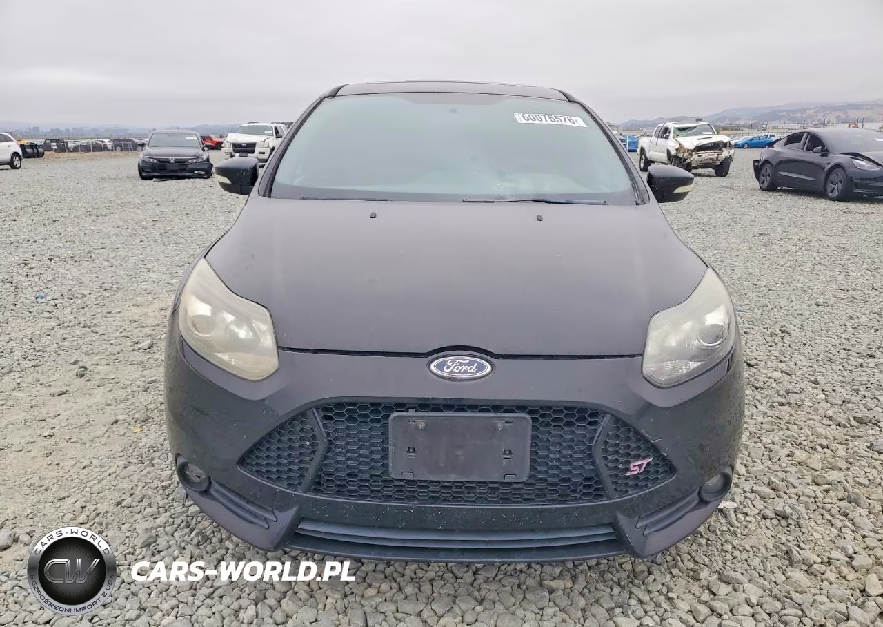 2013 Ford Focus St VIN:1FADP3L97DL191743 - 5