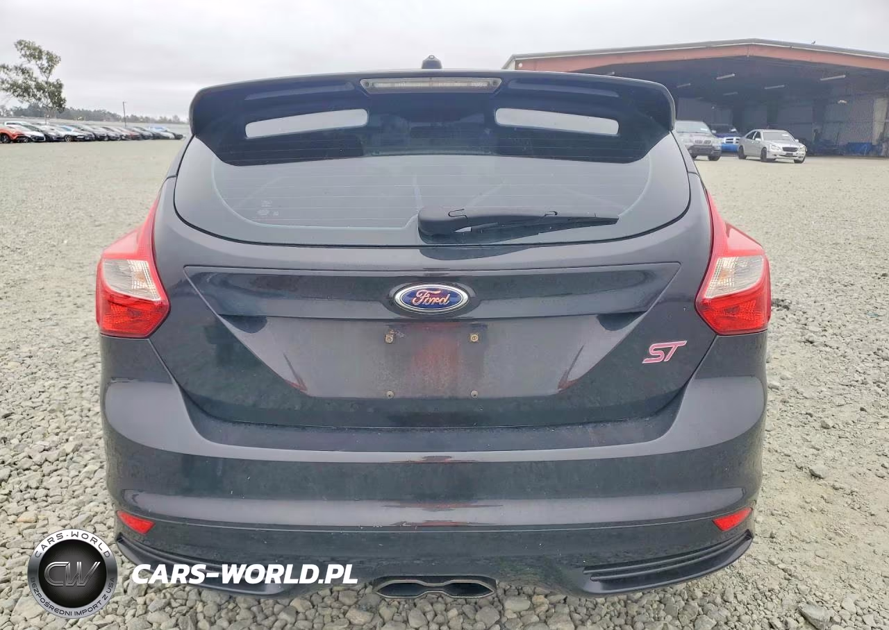 2013 Ford Focus St VIN:1FADP3L97DL191743 - 6