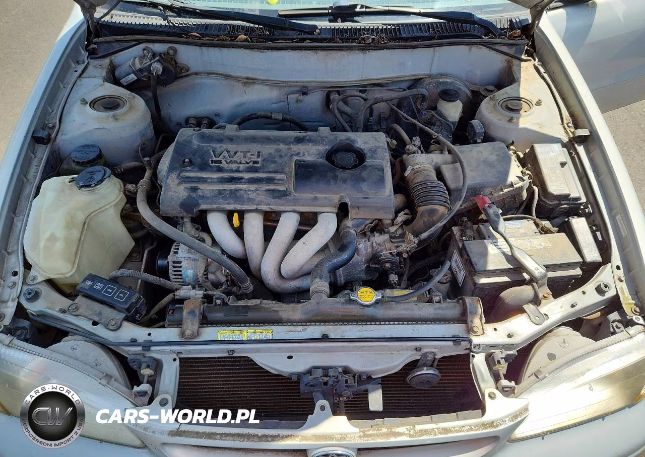 2000 Toyota Corolla Ve VIN:1NXBR12E6YZ306441 - 11
