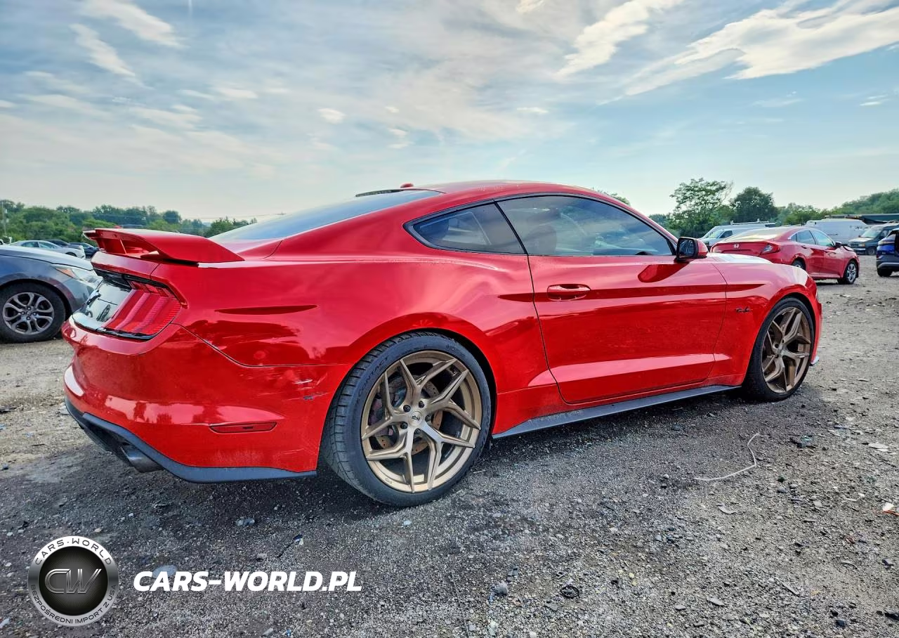 2019 Ford Mustang VIN:1FA6P8TH2K5108685 - 3