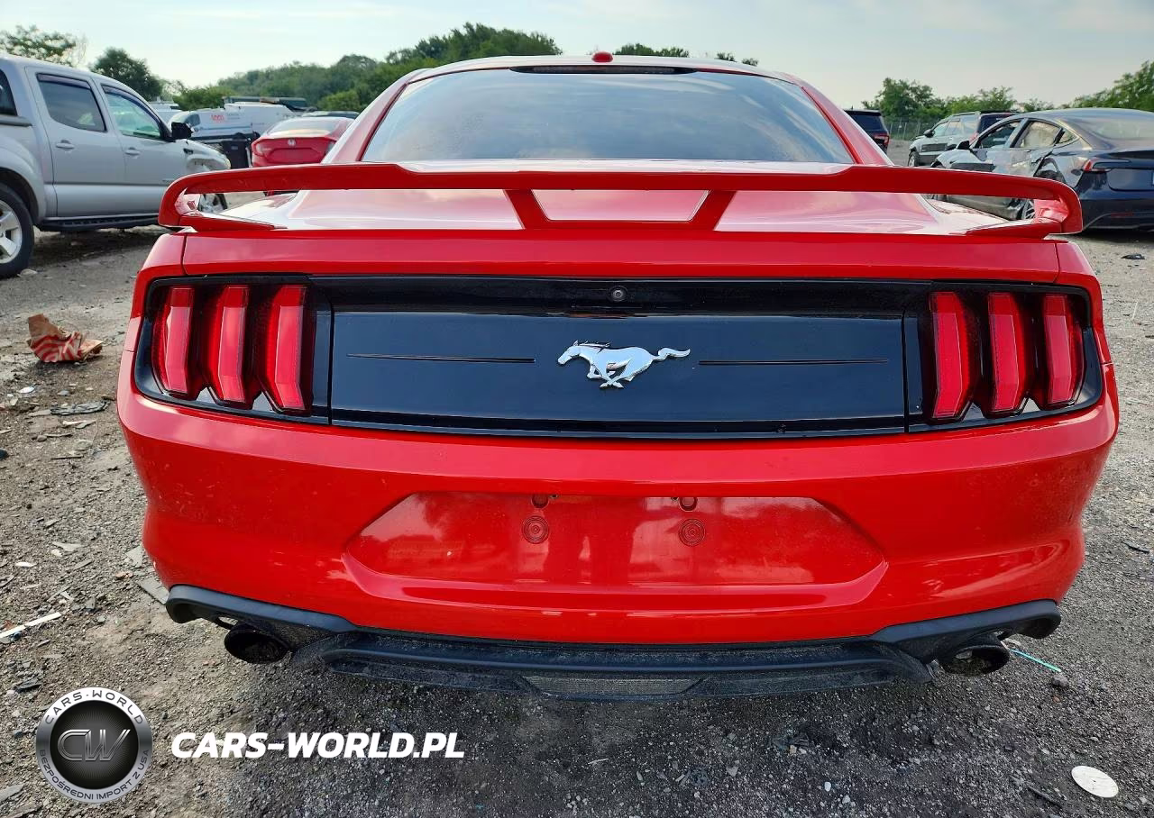 2019 Ford Mustang VIN:1FA6P8TH2K5108685 - 6