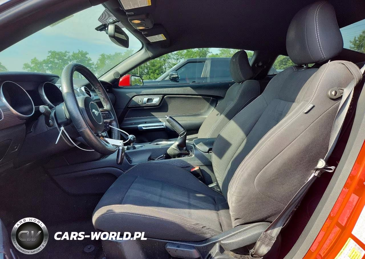 2019 Ford Mustang VIN:1FA6P8TH2K5108685 - 7