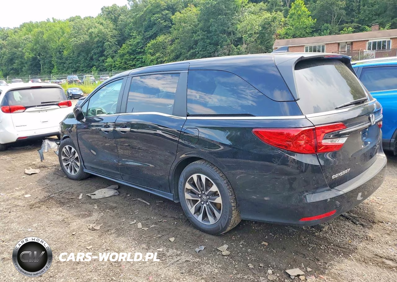 2024 Honda Odyssey Exl VIN:5FNRL6H66RB040995 - 2