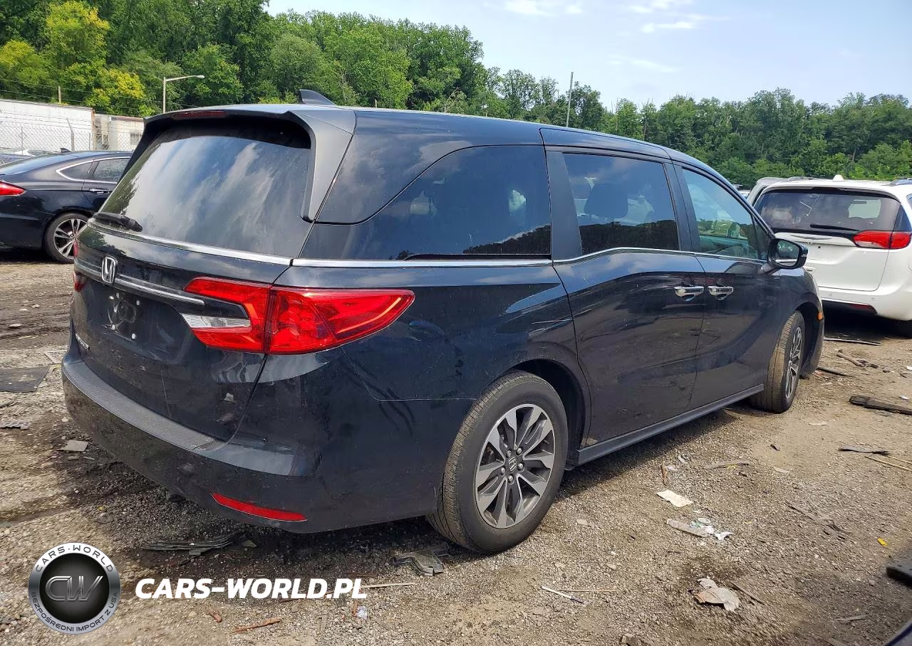 2024 Honda Odyssey Exl VIN:5FNRL6H66RB040995 - 3