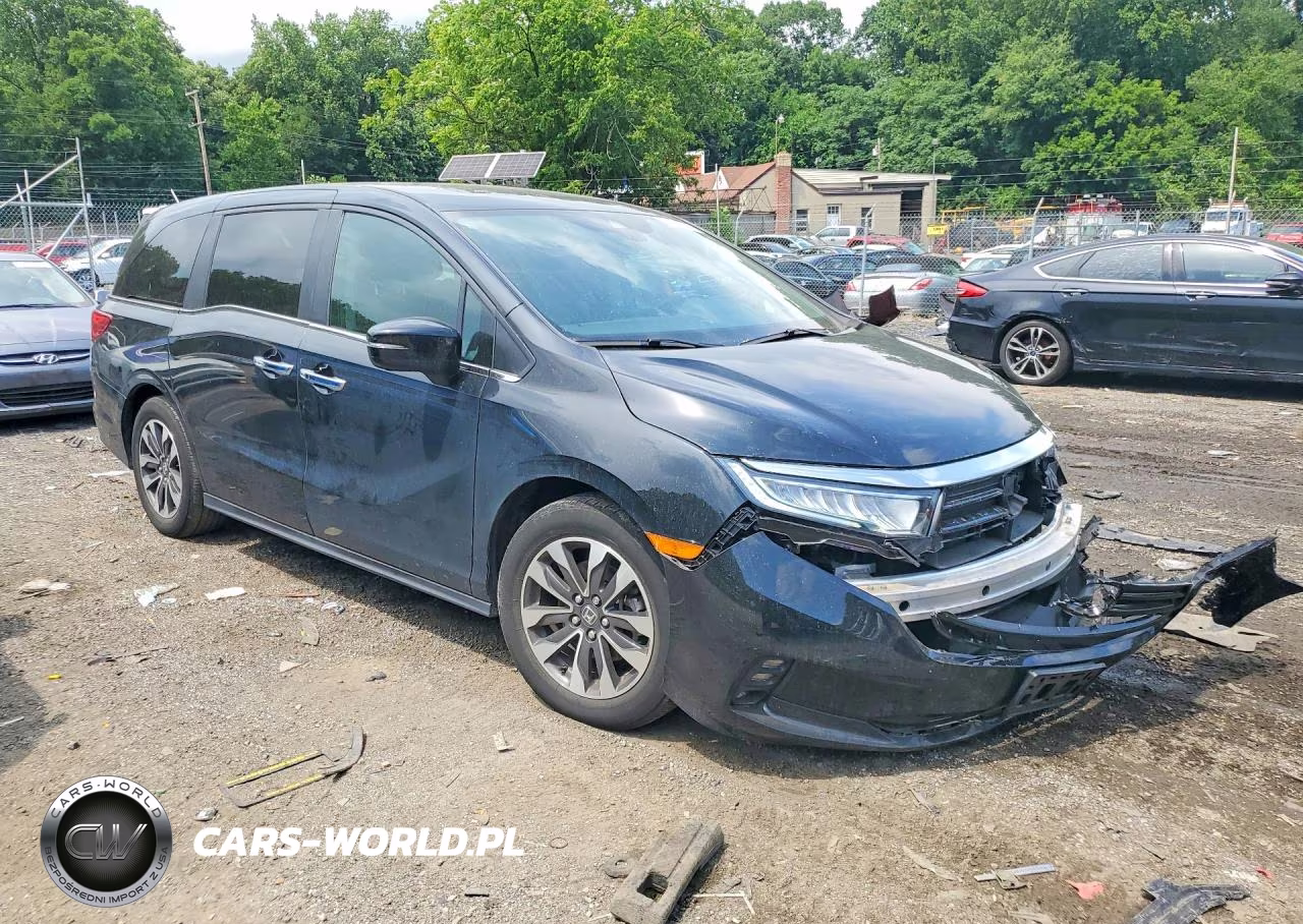 2024 Honda Odyssey Exl VIN:5FNRL6H66RB040995 - 4