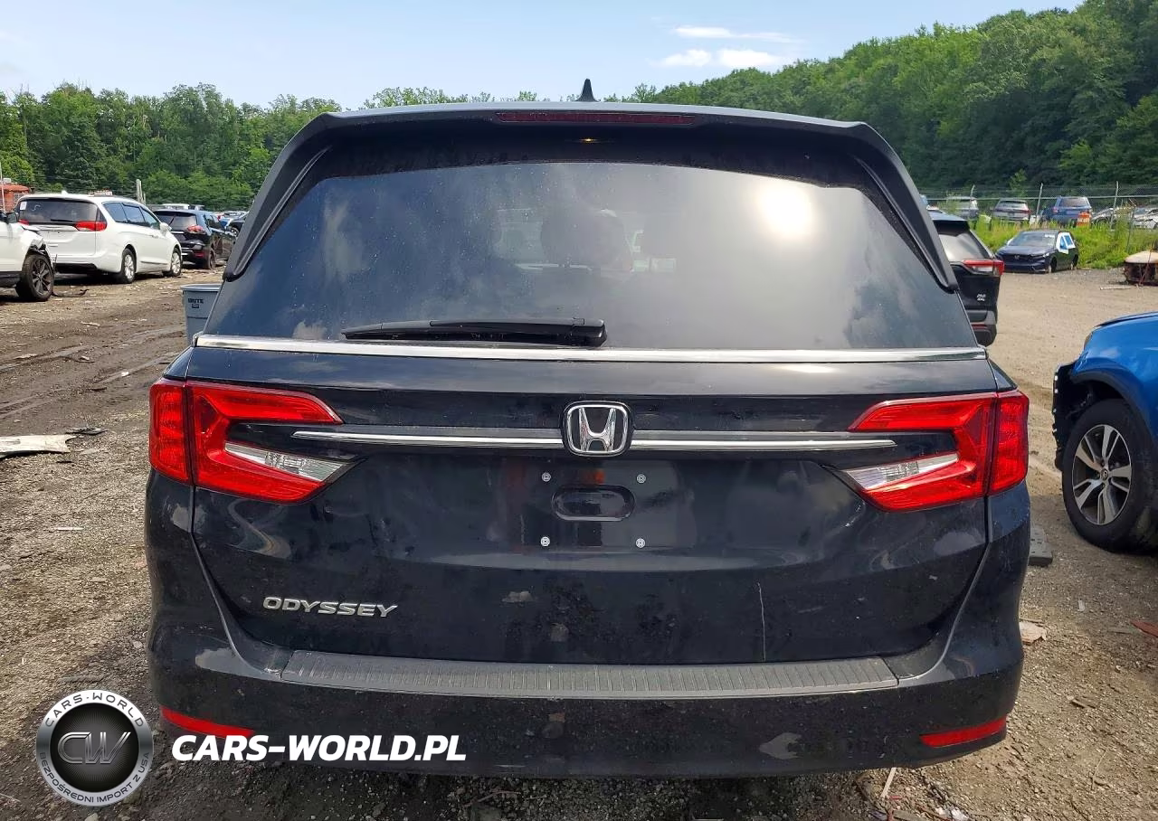 2024 Honda Odyssey Exl VIN:5FNRL6H66RB040995 - 6