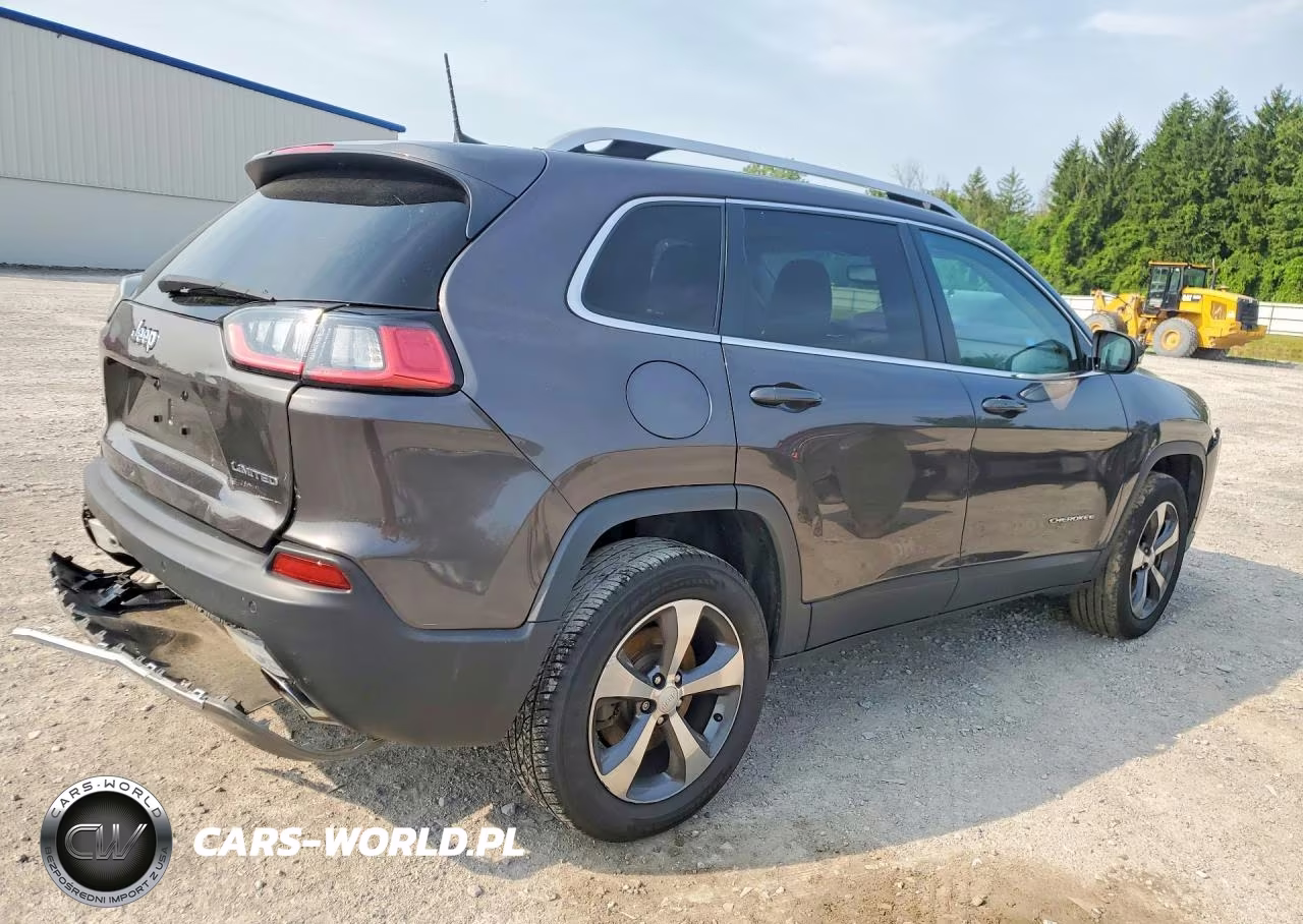 2019 Jeep Cherokee Limited VIN:1C4PJMDX8KD156163 - 3