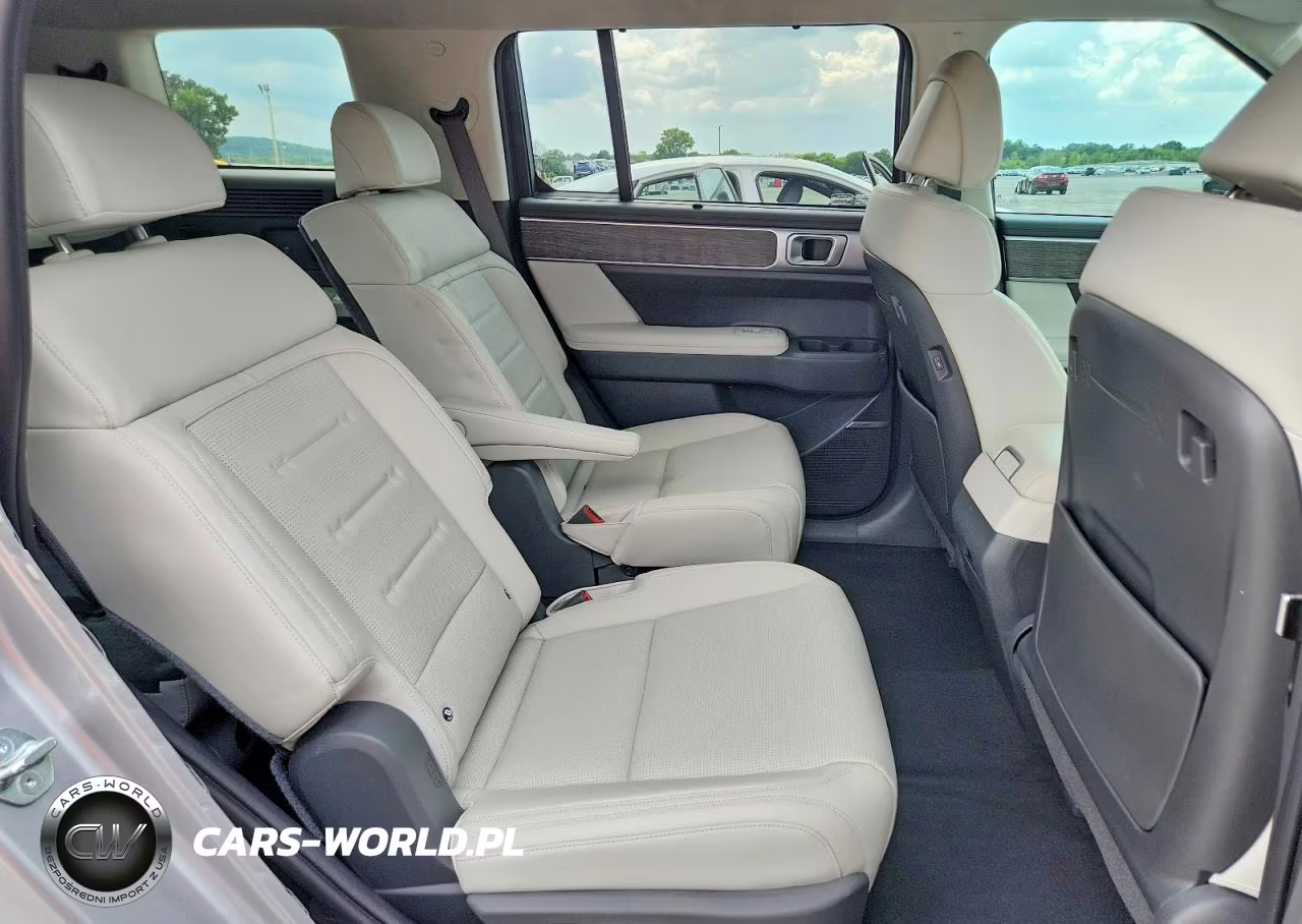 2025 Hyundai Santa Fe Calligraphy VIN:5NMP54G14SH055060 - 11