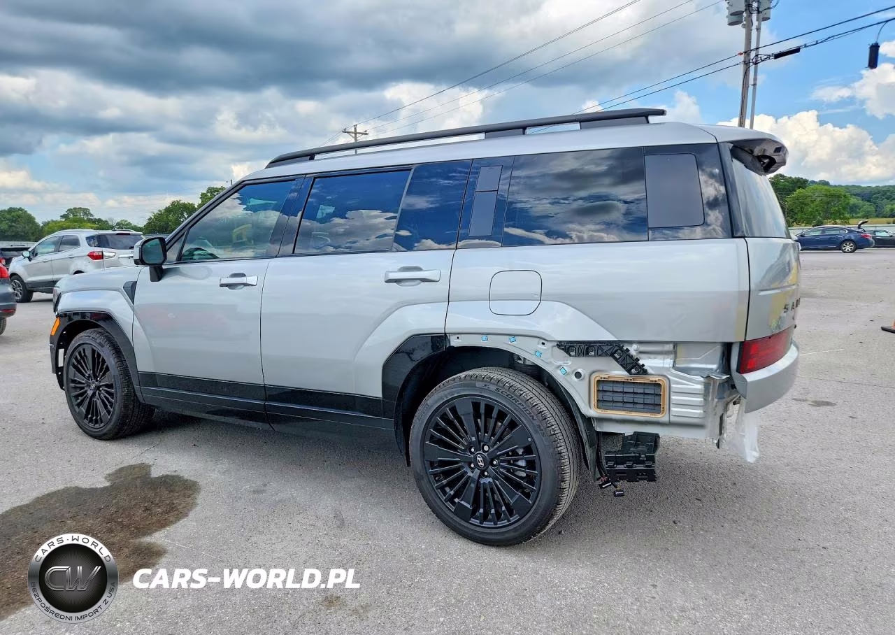 2025 Hyundai Santa Fe Calligraphy VIN:5NMP54G14SH055060 - 2