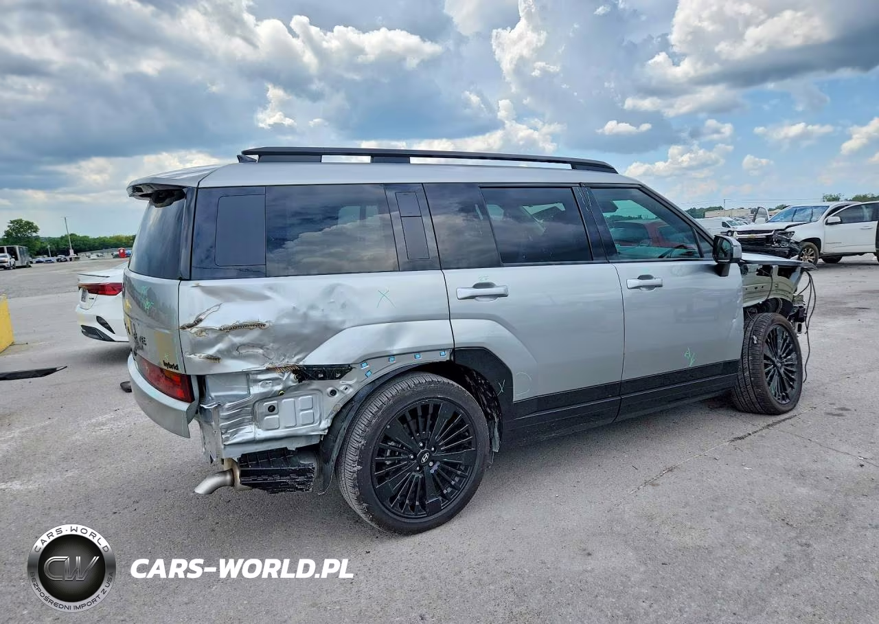 2025 Hyundai Santa Fe Calligraphy VIN:5NMP54G14SH055060 - 3