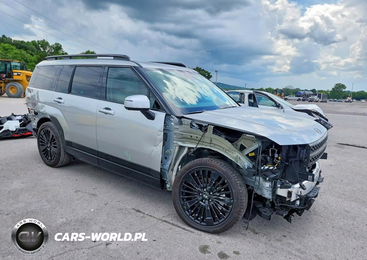 2025 Hyundai Santa Fe Calligraphy VIN:5NMP54G14SH055060 - 4