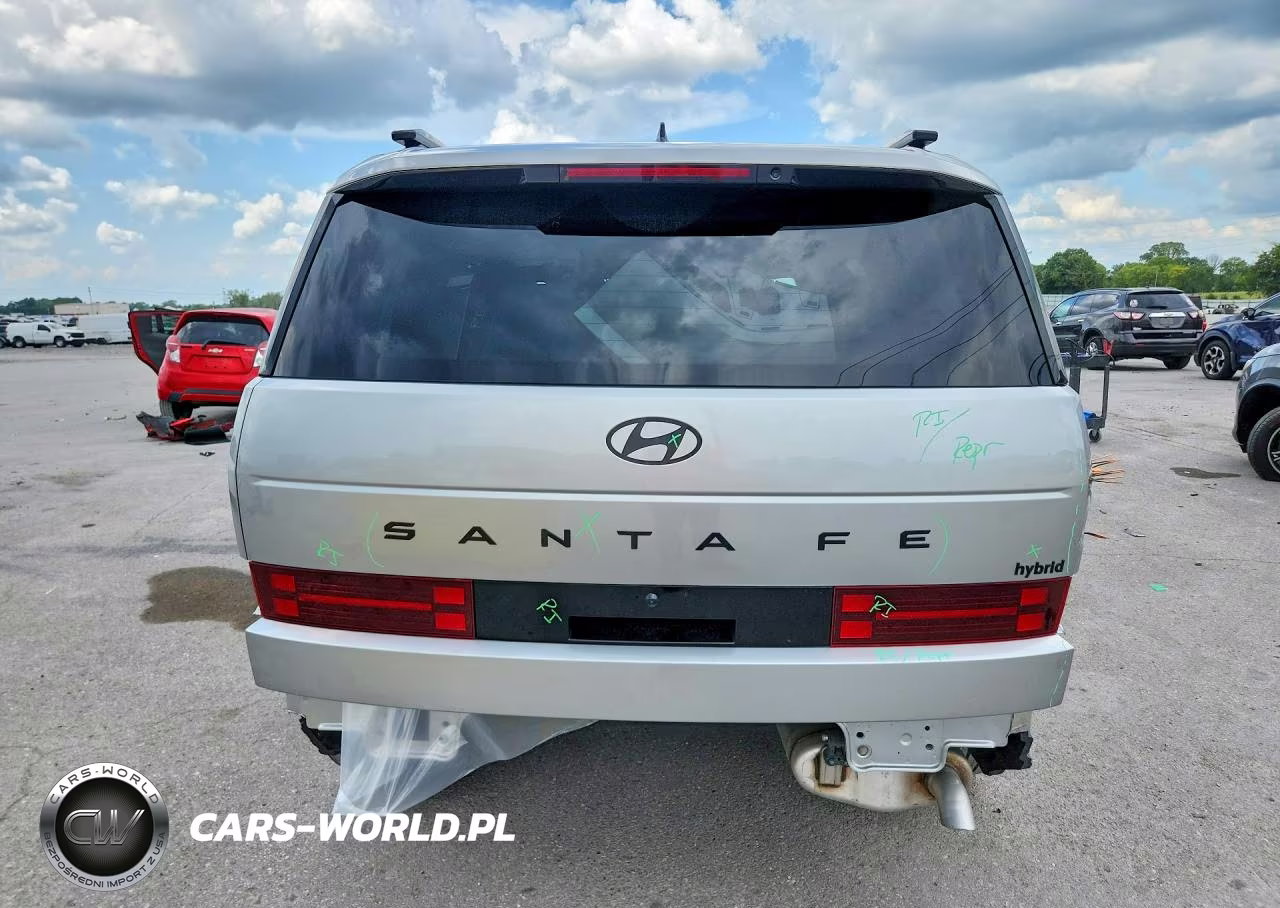 2025 Hyundai Santa Fe Calligraphy VIN:5NMP54G14SH055060 - 6