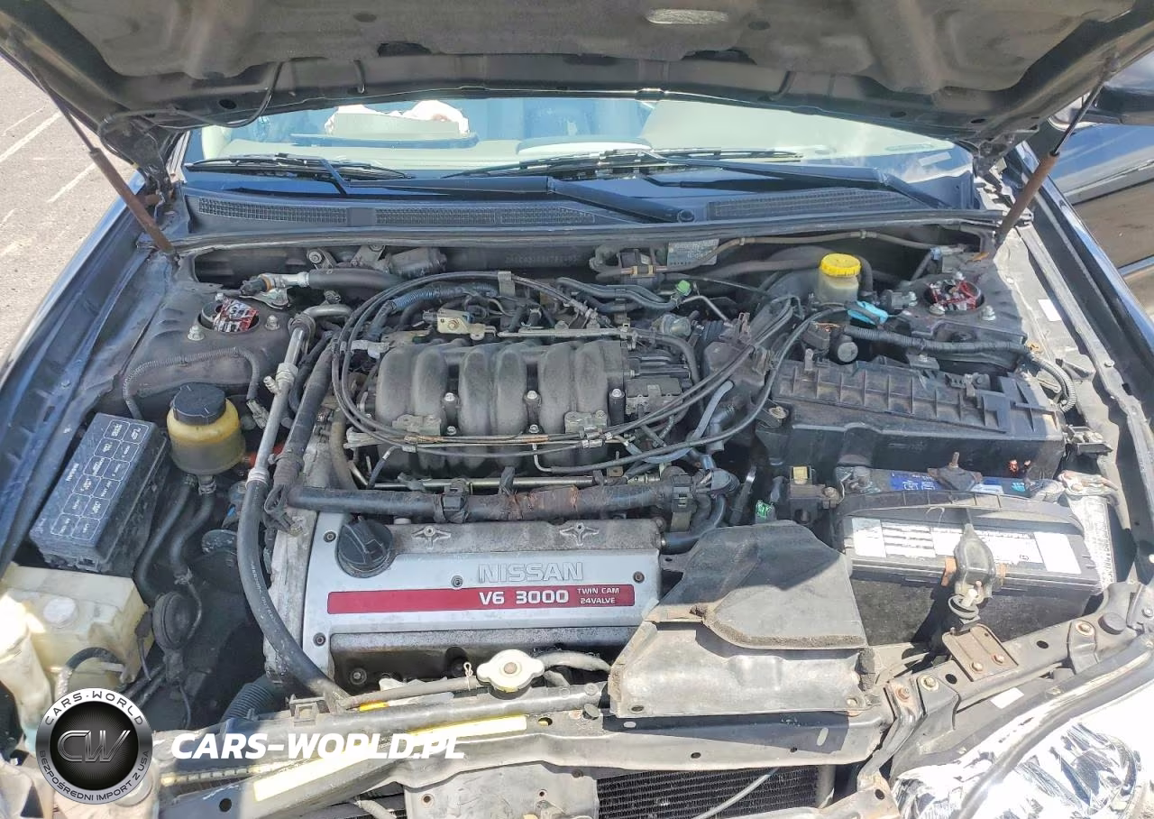 2001 Nissan Maxima Gxe VIN:JN1CA31D51T814550 - 11