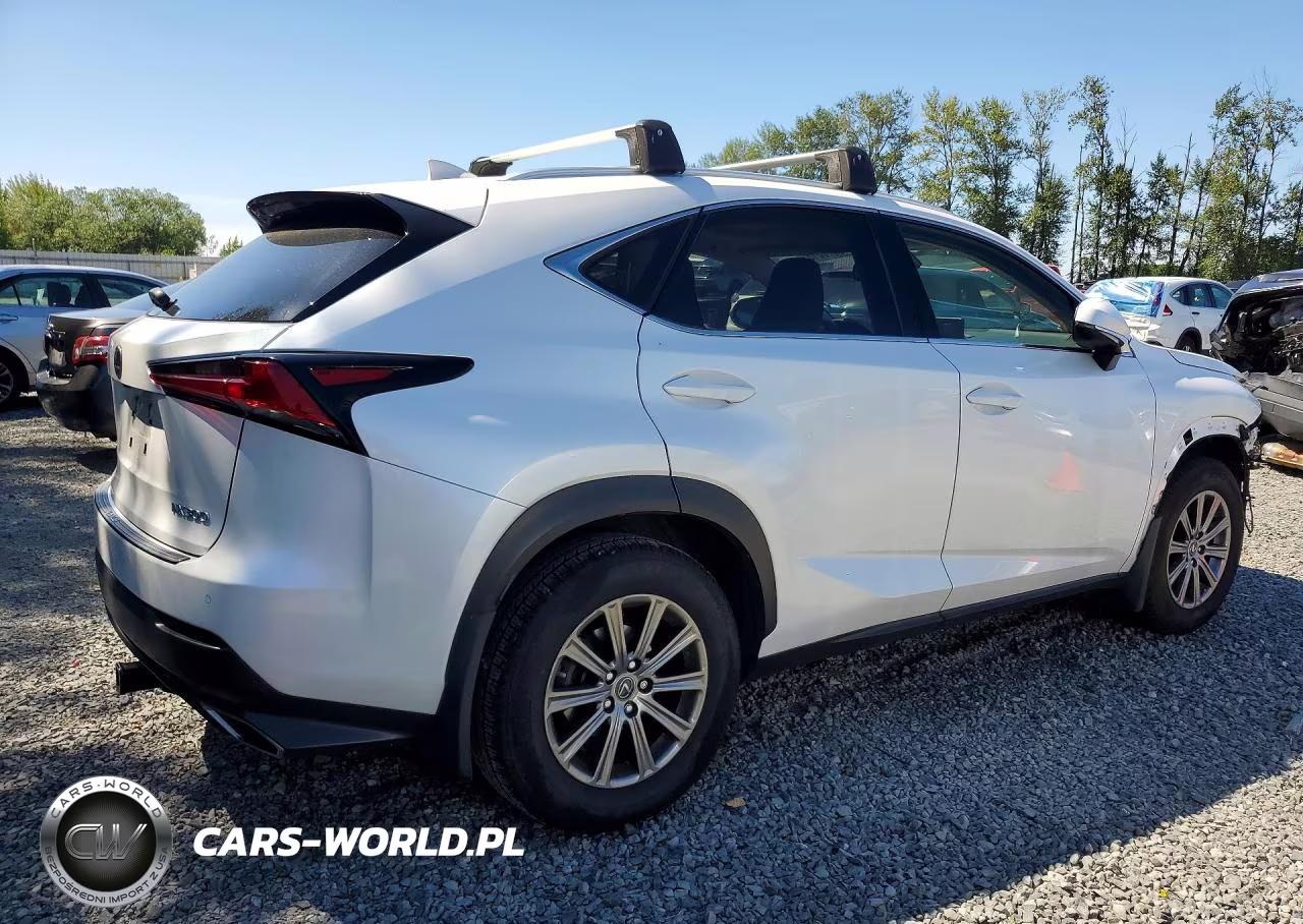 2018 Lexus Nx 300 Base VIN:JTJBARBZ9J2170205 - 3