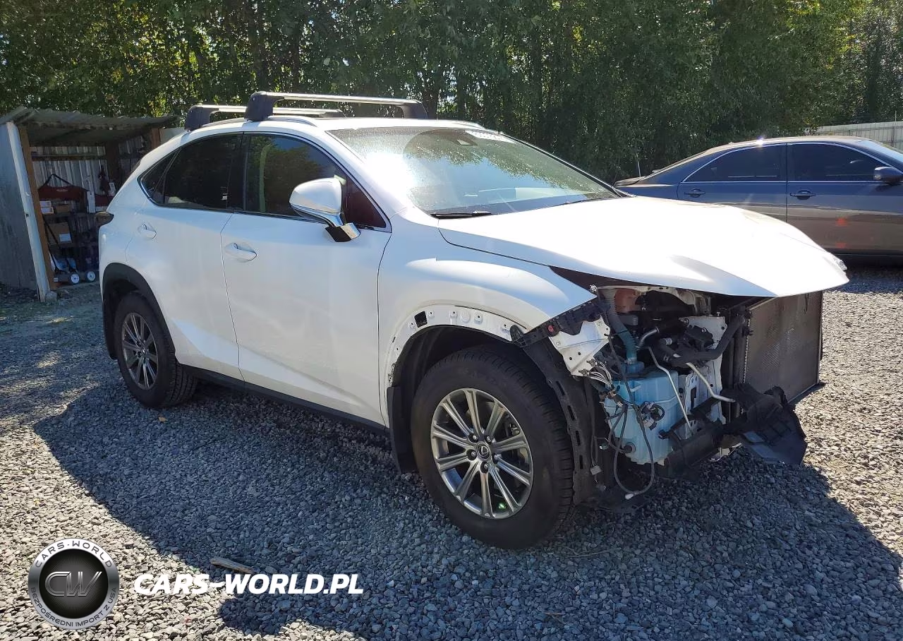 2018 Lexus Nx 300 Base VIN:JTJBARBZ9J2170205 - 4