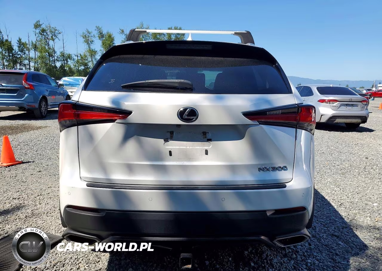 2018 Lexus Nx 300 Base VIN:JTJBARBZ9J2170205 - 6