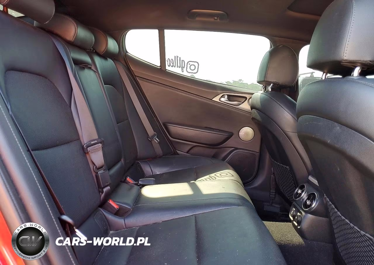 2019 Kia Stinger Gt1 VIN:KNAE45LC0K6055400 - 10