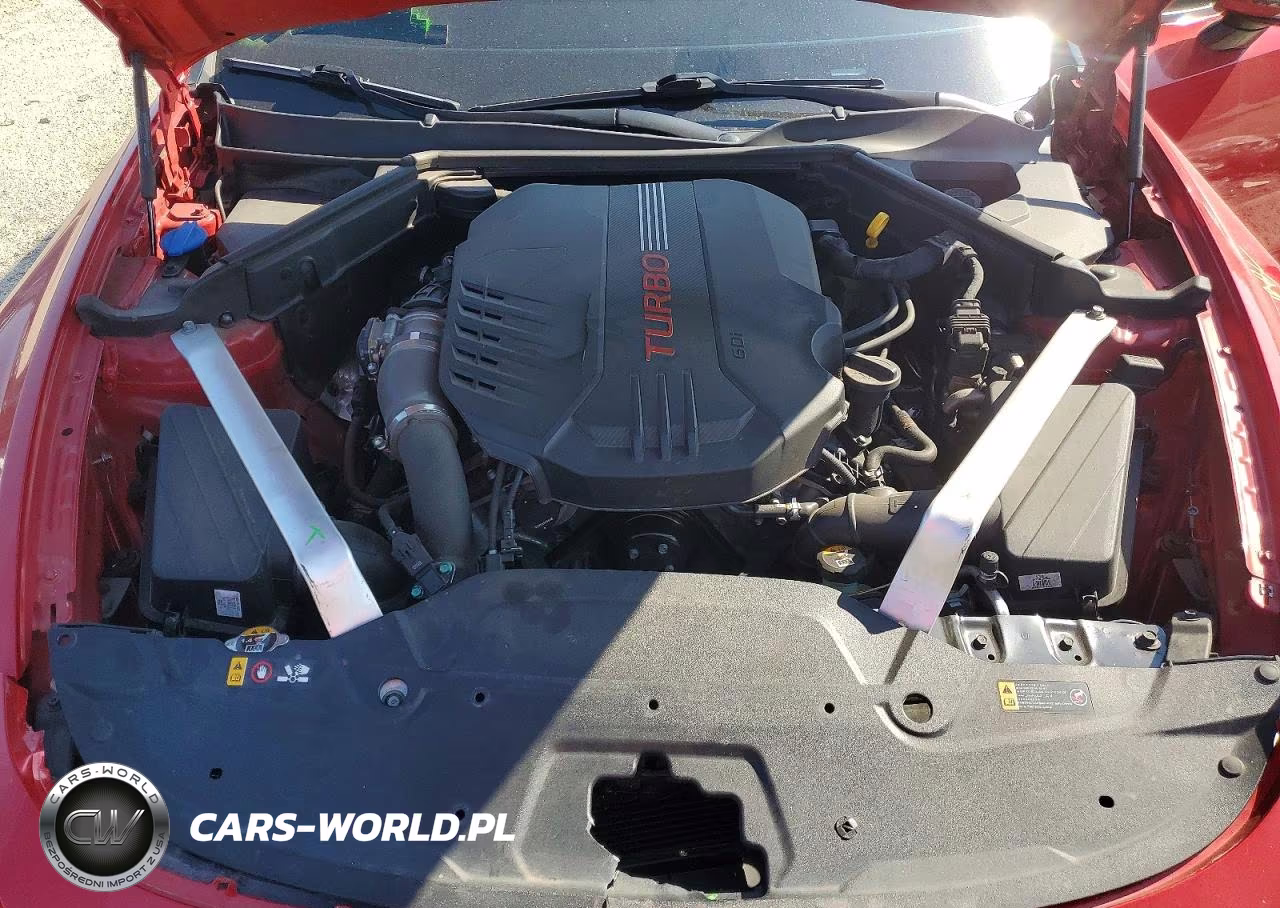 2019 Kia Stinger Gt1 VIN:KNAE45LC0K6055400 - 11