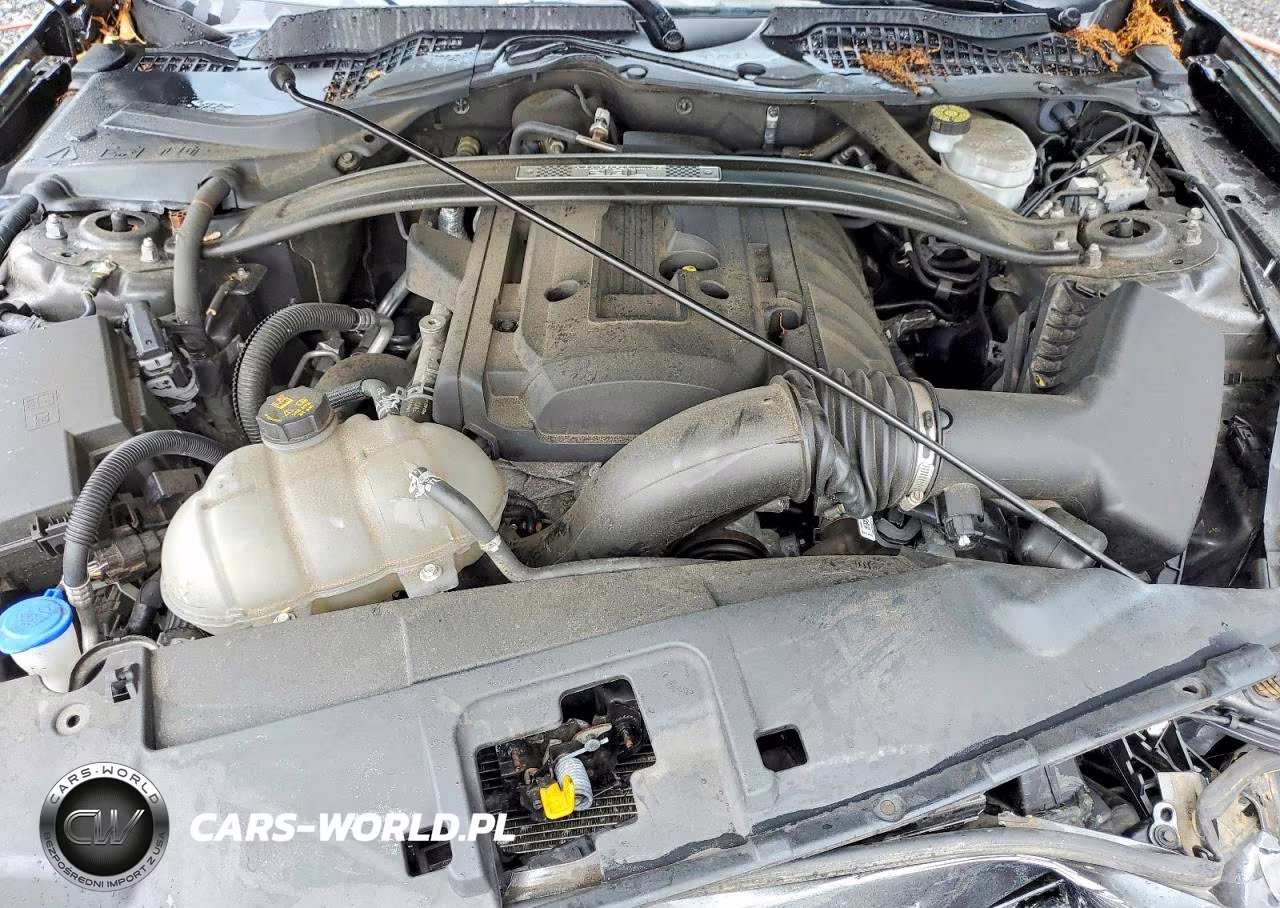 2020 Ford Mustang VIN:1FA6P8TD7L5190508 - 11