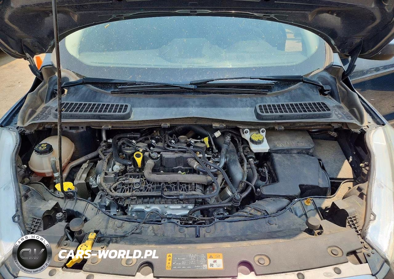 2019 Ford Escape Se VIN:1FMCU0GDXKUA19284 - 11
