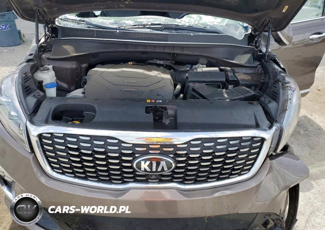 2019 Kia Sorento Sx Limited V6 VIN:5XYPK4A57KG517268 - 12