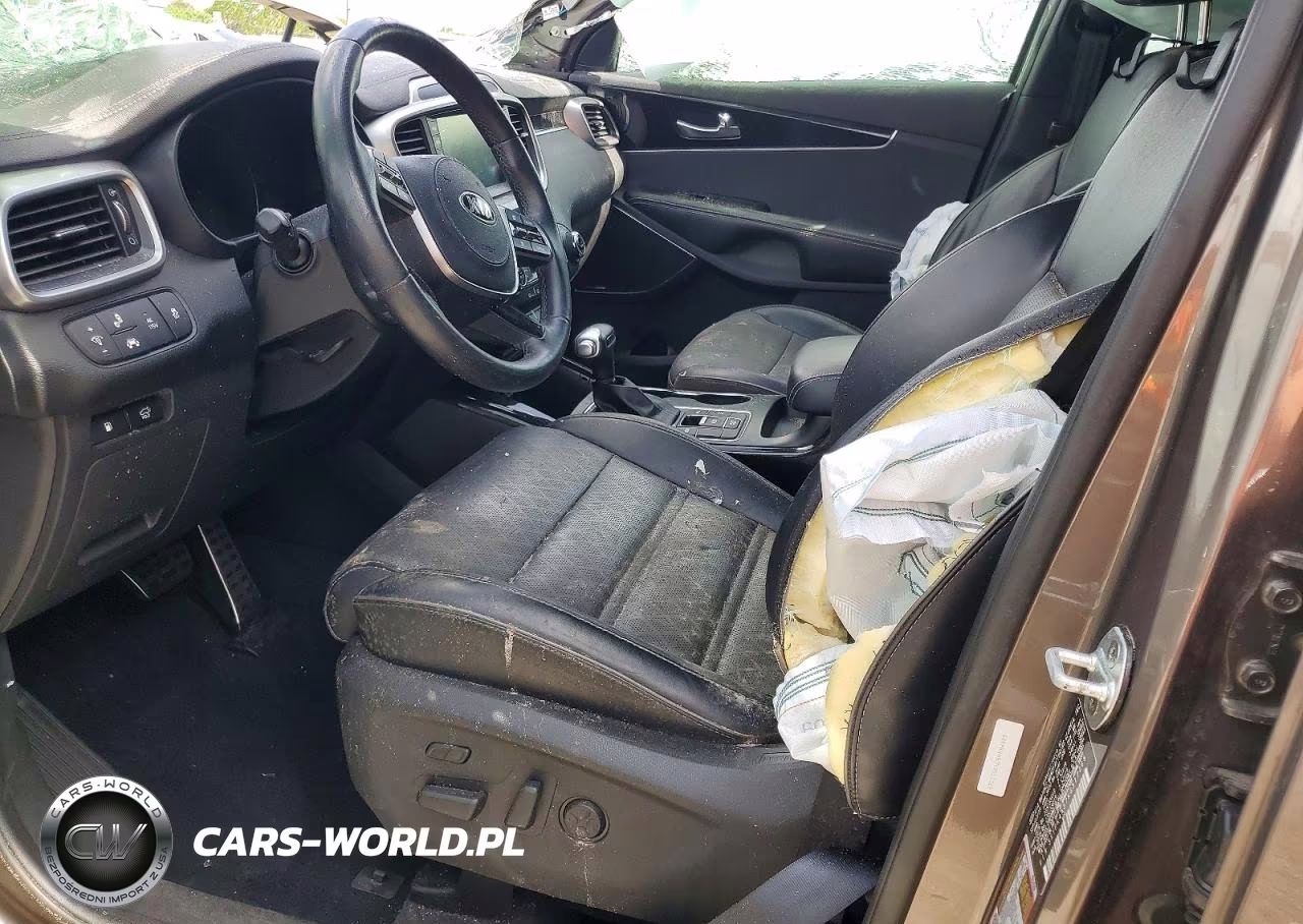 2019 Kia Sorento Sx Limited V6 VIN:5XYPK4A57KG517268 - 7