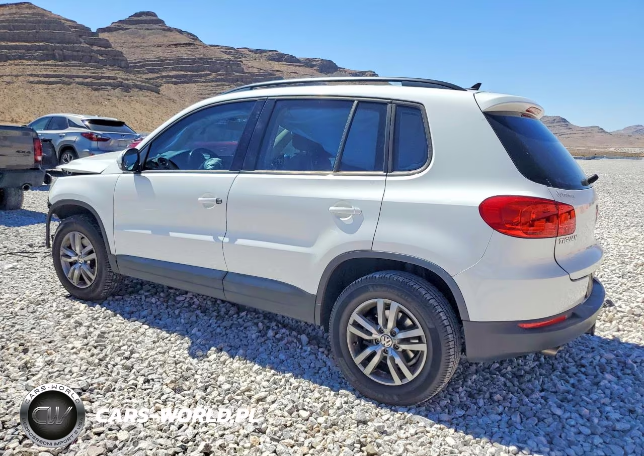 2017 Volkswagen Tiguan S VIN:WVGAV7AX3HK033371 - 2
