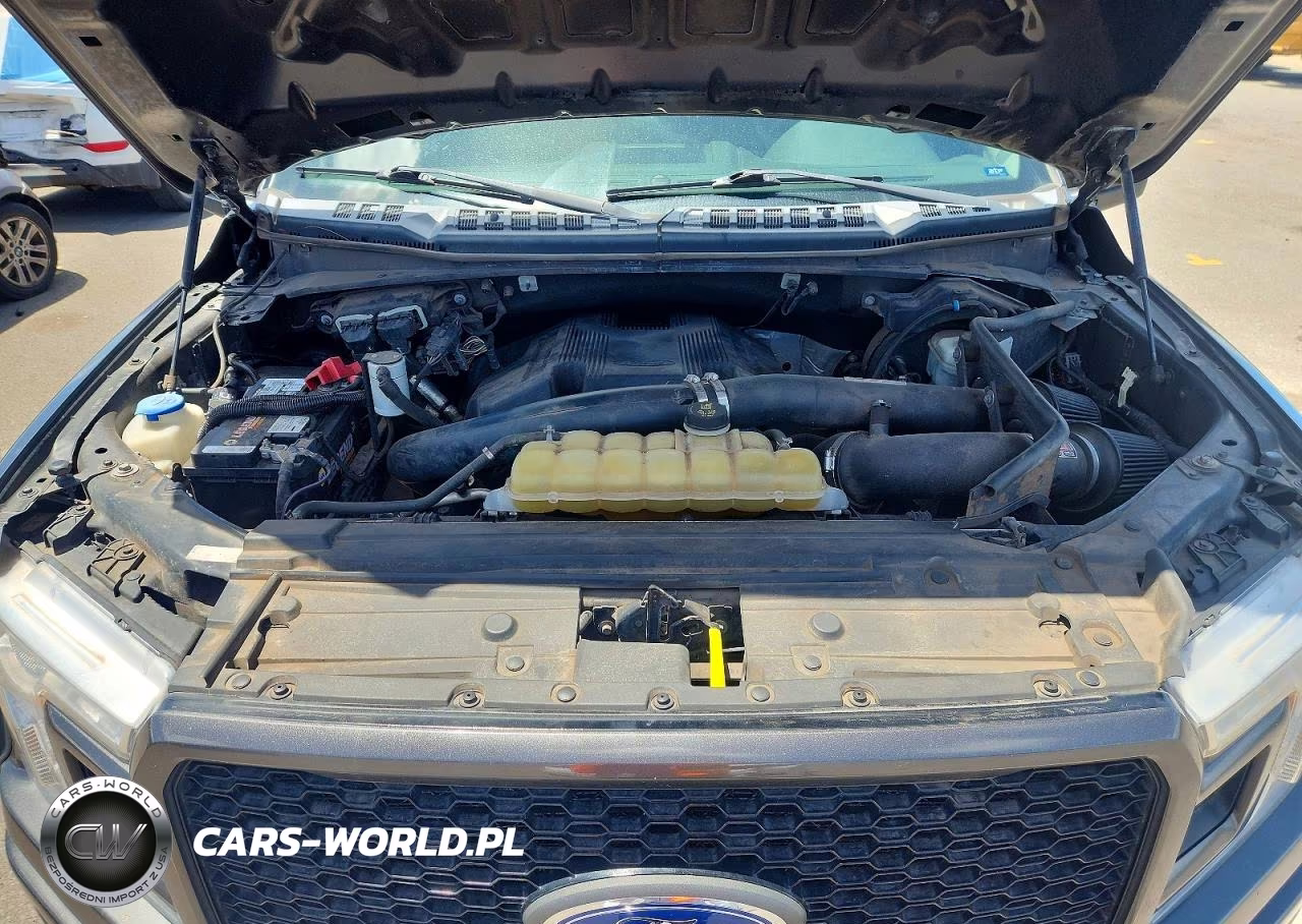 2019 Ford F150 Supercrew VIN:1FTEW1E42KKD13595 - 11