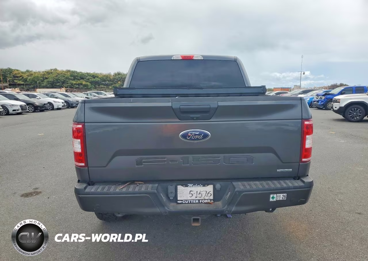 2019 Ford F150 Supercrew VIN:1FTEW1E42KKD13595 - 6