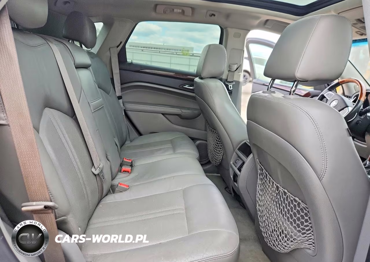 2010 Cadillac Srx Performance Collection VIN:3GYFNEEY9AS557758 - 10