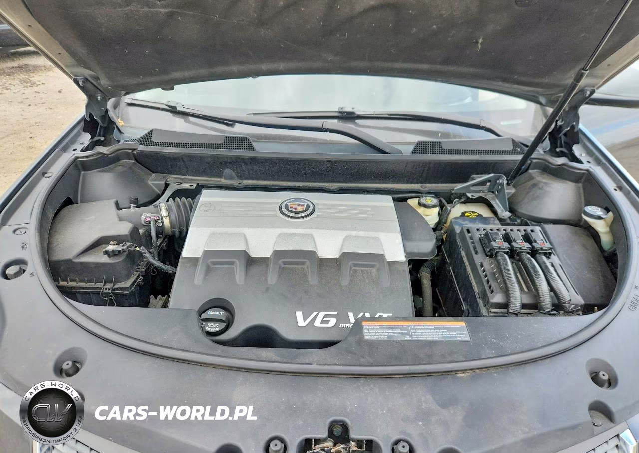 2010 Cadillac Srx Performance Collection VIN:3GYFNEEY9AS557758 - 11
