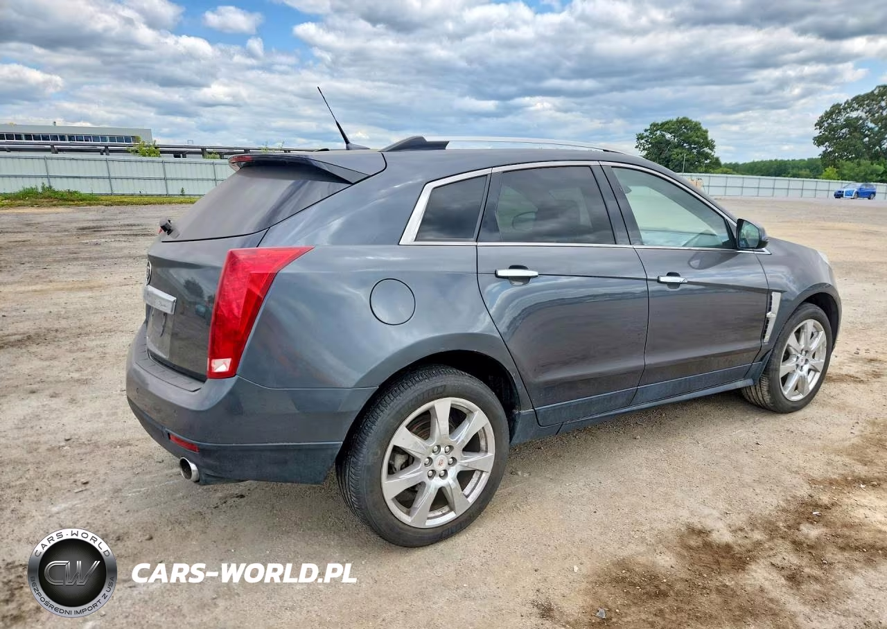 2010 Cadillac Srx Performance Collection VIN:3GYFNEEY9AS557758 - 3