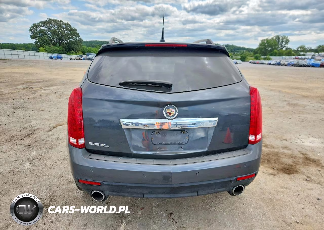 2010 Cadillac Srx Performance Collection VIN:3GYFNEEY9AS557758 - 6