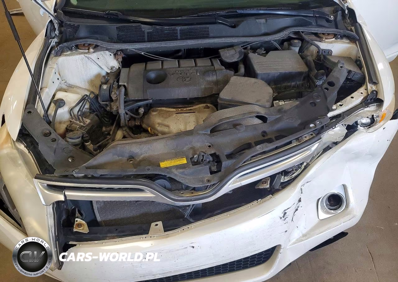 2010 Toyota Venza Fwd 4Cyl VIN:4T3ZA3BB7AU035619 - 12