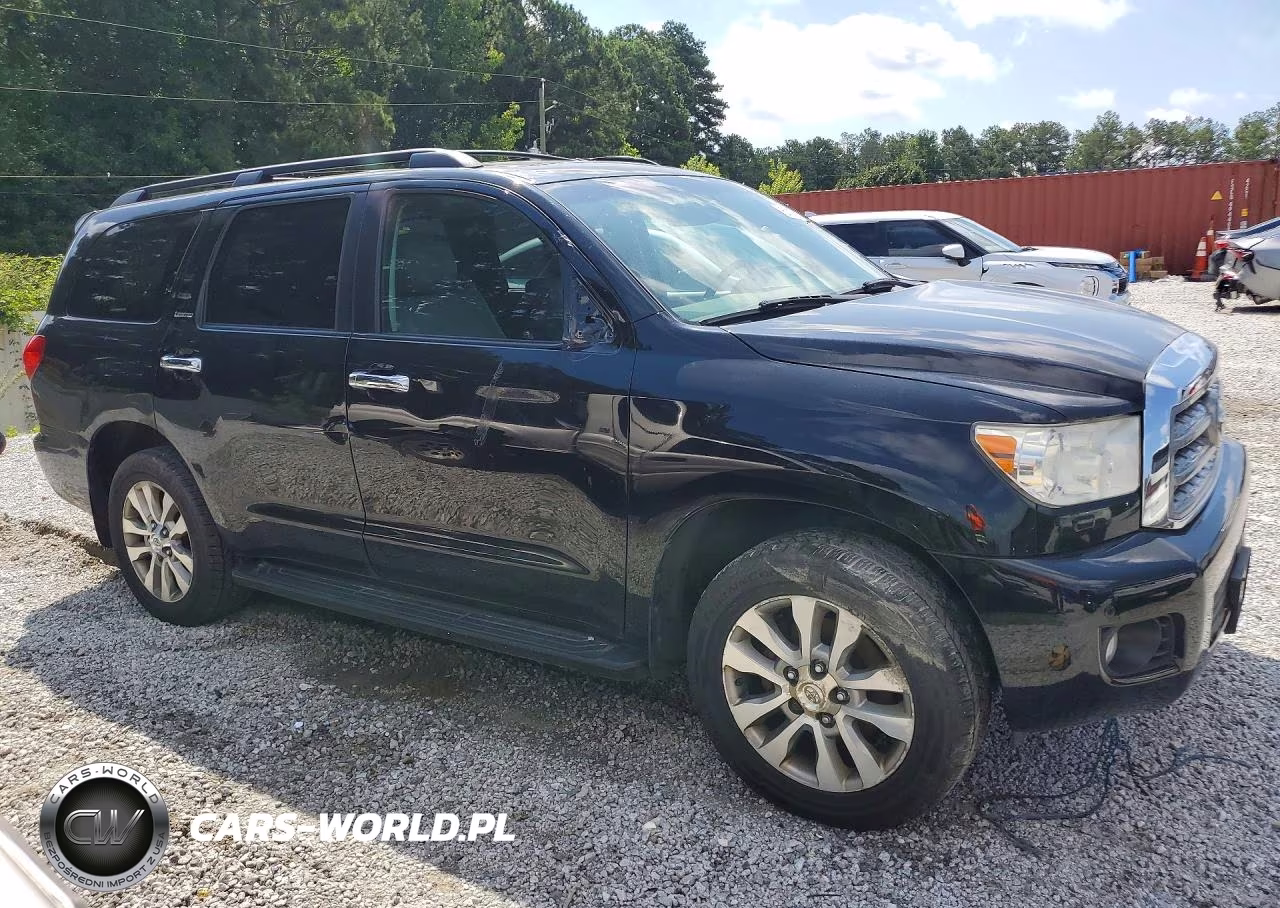 2010 Toyota Sequoia Limited VIN:5TDJW5G13AS027884 - 4
