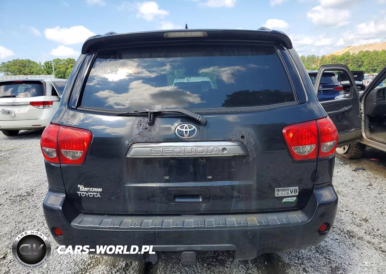 2010 Toyota Sequoia Limited VIN:5TDJW5G13AS027884 - 6