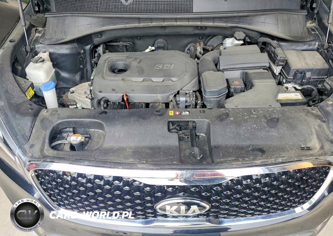 2017 Kia Sorento Lx VIN:5XYPG4A38HG199587 - 12